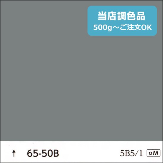 日塗工 65-50B 淡彩 - 日本ペイントの塗料の調色・見本合わせの通販なら【調色119番】