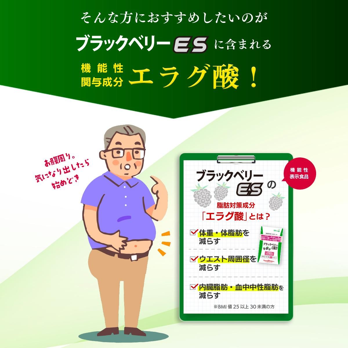 ブラックベリーES クロネコゆうパケット送料無料 62粒入り(1粒重量360