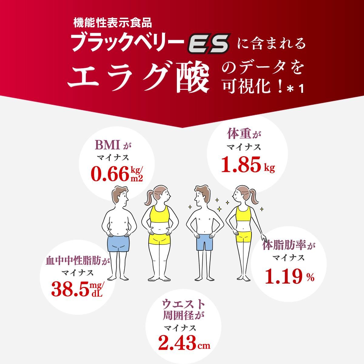 ブラックベリーES(定期購入) 62粒入り(1粒重量360㎎) - MIYOSHIネット