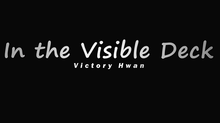 (ӥ֥ǥåΥåץ졼ǡIn the Visible Deck In the Visible Deck 