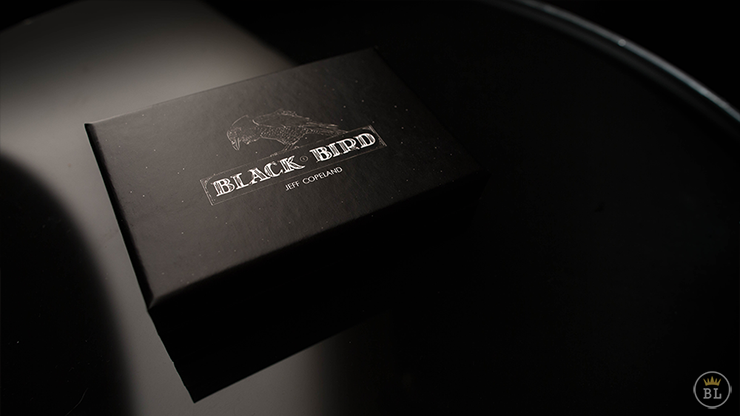 (ʥߥ󥰤ǥФ뤳ȤǤޤBlackbird by Jeff Copeland