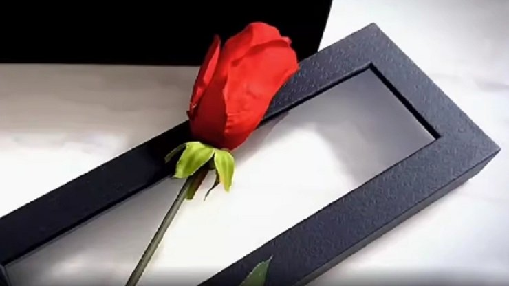 Rose Gift Box