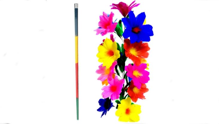 Deluxe Cane to Flower (Multicolor)ǥå󡦥եޥ顼