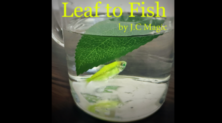иޥåLeaf to Fish by J.C Magic