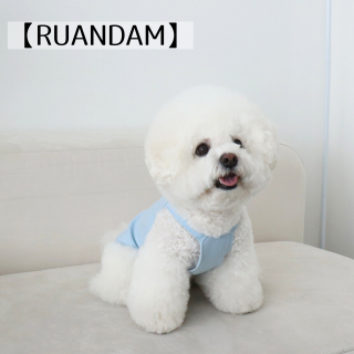 [RUANDDAM] ǥ˥ॹʥåץС(饤ȥ֥롼)