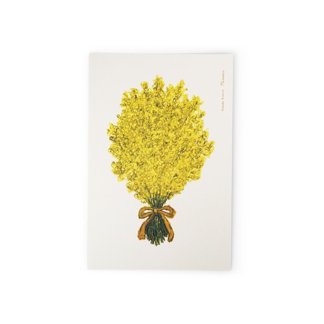Post card - mimosa åݥȥ - ߥ⥶ 