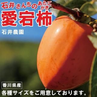 ͽճϡа椵  ʽ³٤륵    Ķ 5Kg 10kg 1Ȣ 碌 դ   ڡʪΰ١ָǤ 