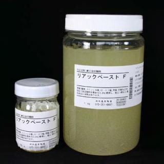 �ꥢ�å��ڡ�����F