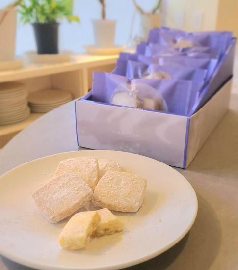 <img class='new_mark_img1' src='https://img.shop-pro.jp/img/new/icons29.gif' style='border:none;display:inline;margin:0px;padding:0px;width:auto;' />Х˥饯å10Ȣ