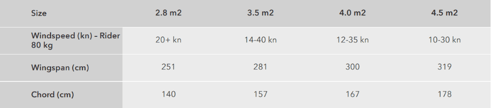 󥷥  3 ENSIS WING SCORE 