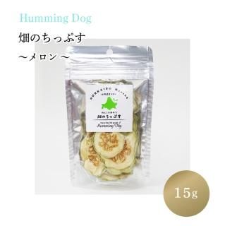 Humming Dog ȪΤäפ 