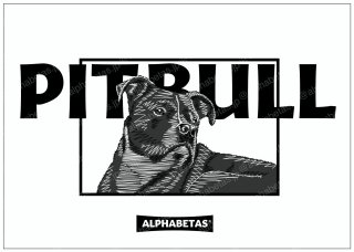 【D1.PITBULL】ALPHABETASアルファベータス　オリジナルデジタルアート　デジタルイラスト　額装込み