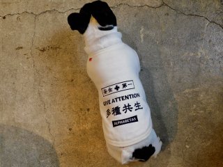 【INU03.多種共生】イヌのオリジナルデザインTシャツ