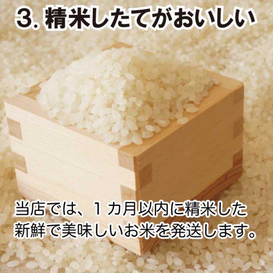 令和6年産 新米 福島県産 コシヒカリ | 通販・お取り寄せ | 西野屋オンラインショップ