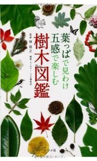 դäѤǸ櫓޴ǳڤڿ޴