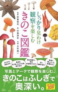 ä긫櫓ѻڤभΤ޴