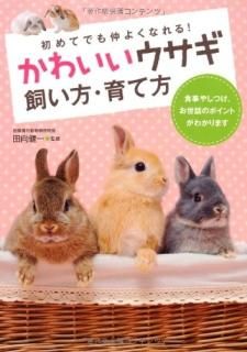 襤 
