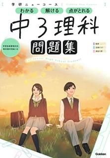 ˥塼꽸棳