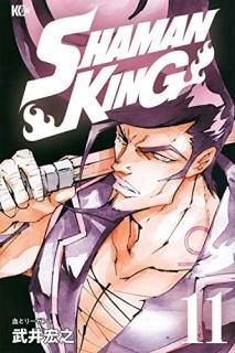 SHAMANKING11