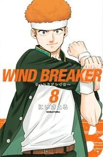 WINDBREAKER8