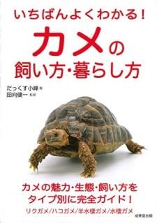 Ф褯狼롪λ餷