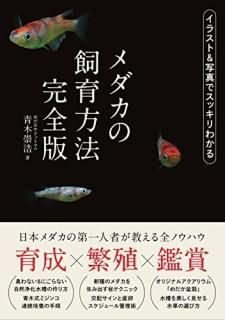 λˡ