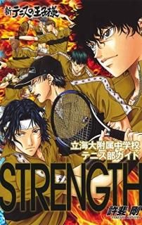 ƥ˥βΩ°عƥ˥ɡSTRENGTH