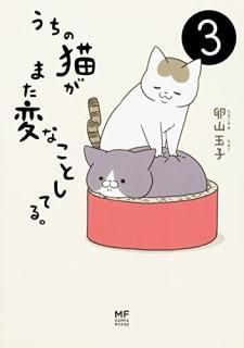 ǭޤѤʤȤƤ롣