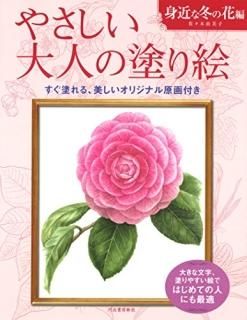 䤵ͤɤ골 : ɤ䤹ǡϤƤοͤˤŬ ȶߤβ