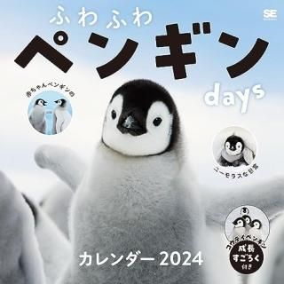 դդڥ󥮥days  2024