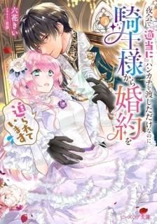 ǡŬˡ٥ϥ󥫥ϤʤΤˡͤ麧Ƥޤ