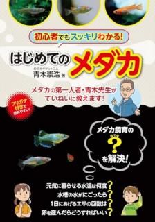 ϤƤΥ : ͼԡƤͤ˶ޤ!