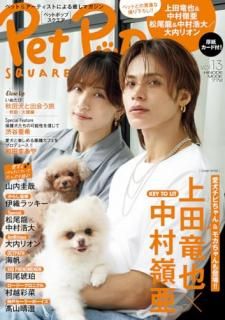 ڥåȥݥåץ vol.13