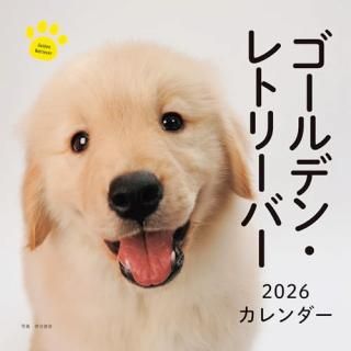 2026ǯ ǥ󡦥ȥ꡼С