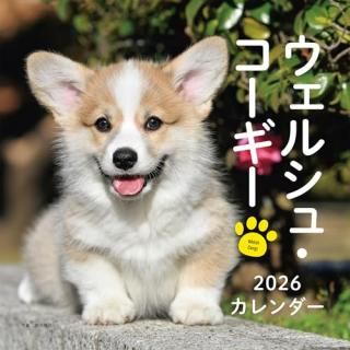 2026ǯ 륷塦