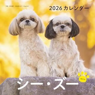 2026ǯ 