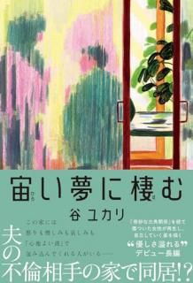 褤̴