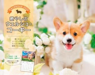 䤷Υ륷塦