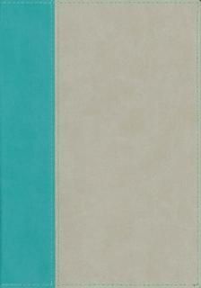 ץʥ꡼ץ쥹ơ  B-013