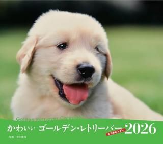 2026ǯ 襤ǥ󡦥ȥ꡼С
