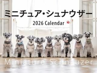 2026ǯ 磻Ƚ ߥ˥奢ʥ