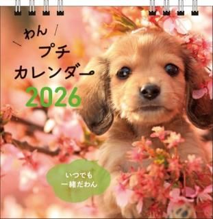 S1ۡ2026󡡥ץ