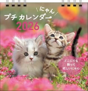 S2ۡ2026ˤ󡡥ץ