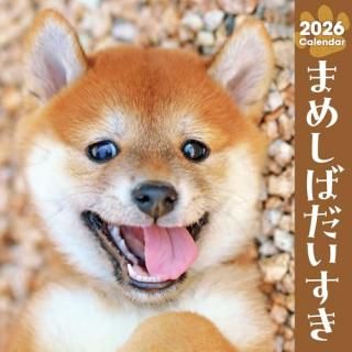 ޤᤷФ2026