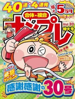 ߤʤʥץ Vol.30