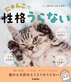 ˤ󤳤ʤʤ