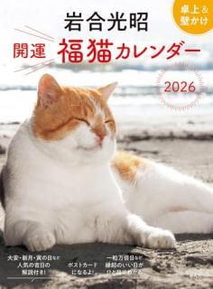   ʡǭ 2026