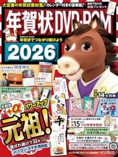 ǯDVD-ROM 2026