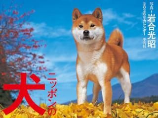 2026ǯ˥åݥθ