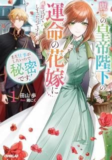 �路�ι����Ų��α�̿�βֲǤ����Ф�Ƥ��ޤä��ΤǤ������ޤ��Ż����������Τ���̩�Ǥ�����